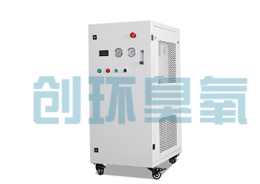 深圳石斑鱼养殖水质调控完整指南：臭氧发生器配置与操作步骤