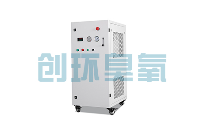 深圳比传统换水更高效？臭氧发生器在石斑鱼养殖中的水质净化原理解析